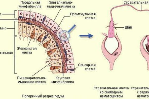 Даркнет площадки