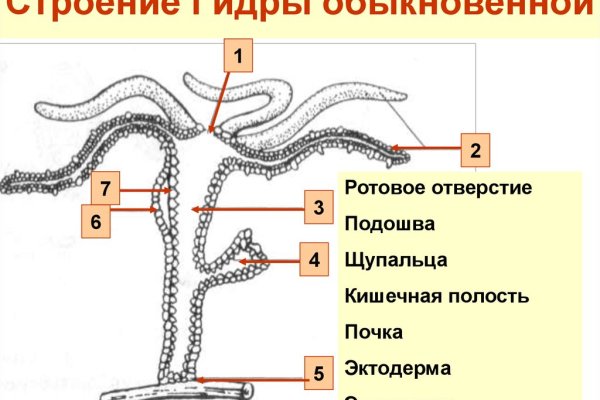 Кракен шоп даркнет