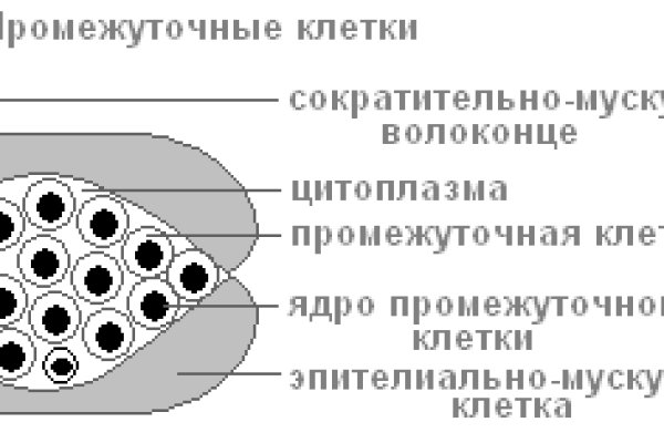 Кракен сайт официальный