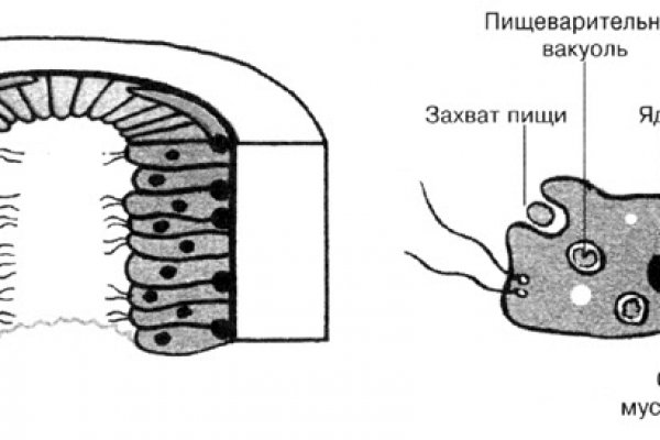 Kraken 18at зеркало