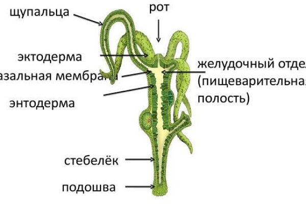 Открыть даркнет