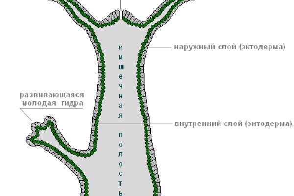 Как вывести с кракена